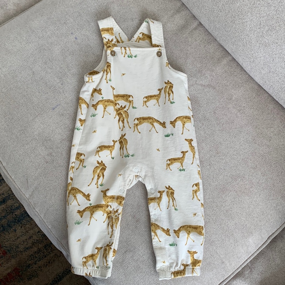 Burt’s Bees Baby cotton overalls